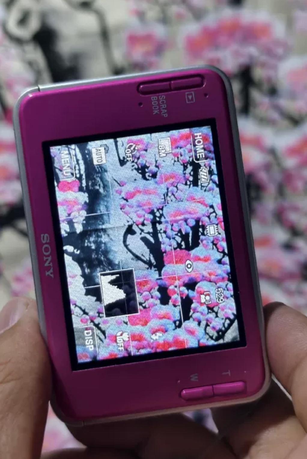 Sony Cybershot DSC-T2
